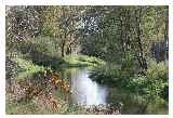 Little Ouse Upstream St Helens Santon Downham © Margaret Holland