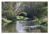 Little Ouse Upstream St Helens Santon Downham 2 © Margaret Holland