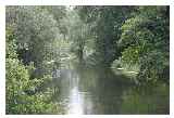 River Little Ouse looking upstream from bridge Santon Downham © Margaret Holland