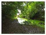 Walton Summit Branch of the Lancaster Canal © David B Derbyshire