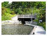 Roughcastle Tunnel entrance © Richard Barron