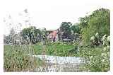 River Rother © Sarah Stacey