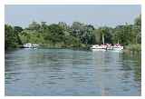 Surlingham Ferry © warrior1