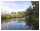 The river is very peaceful between Brampton and Godmanchester