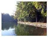 The canal passes through Mytchett Lake